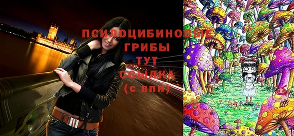 ПСИЛОЦИБИНОВЫЕ ГРИБЫ Абдулино
