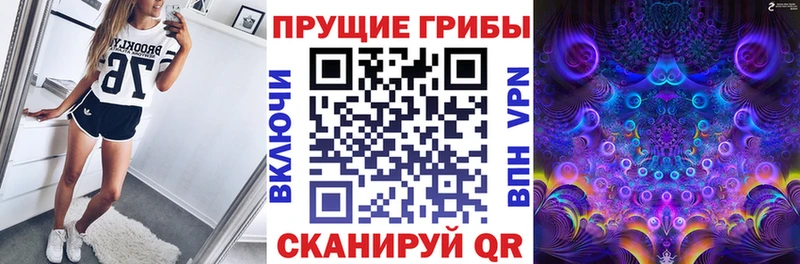 Псилоцибиновые грибы прущие грибы  Питкяранта 